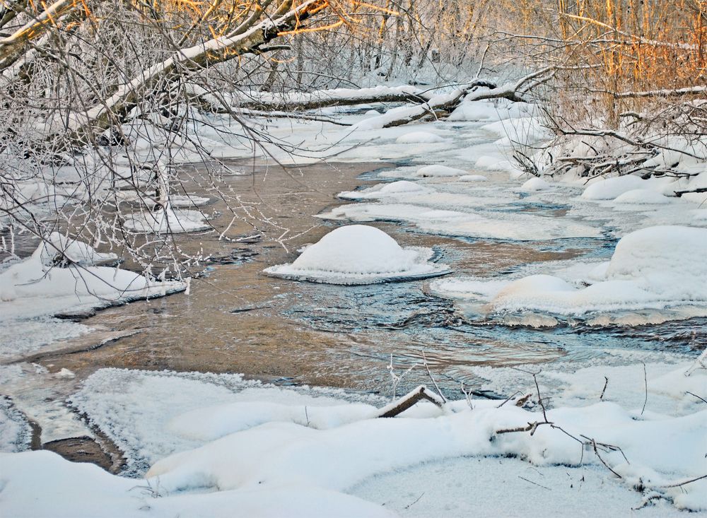 Photograph by Алексей