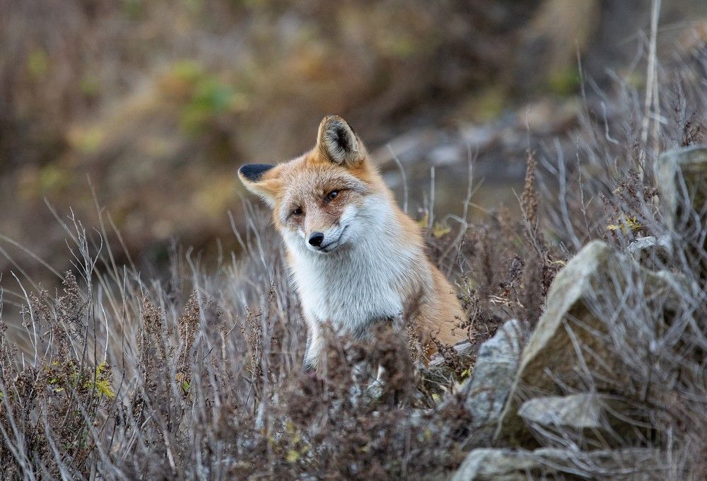 Photograph by Сергей Таран