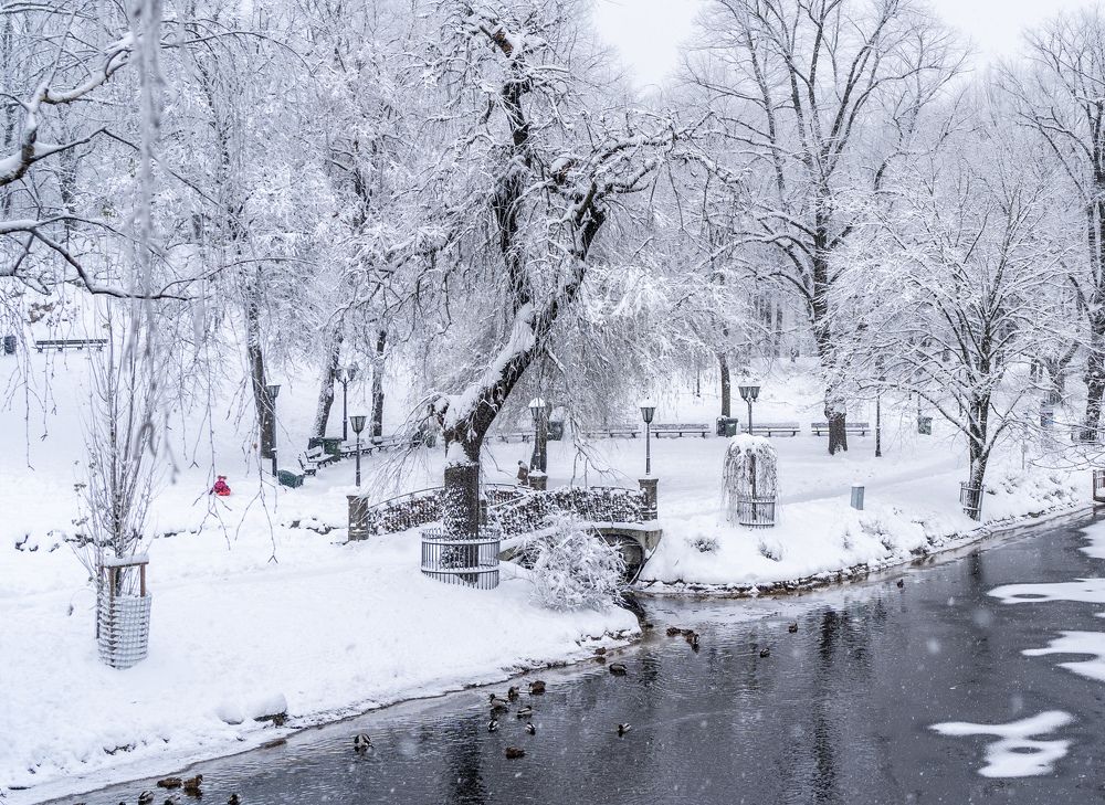 Photograph by Olga Zdančuka