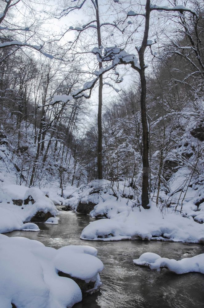 Photograph by Рената Митрова