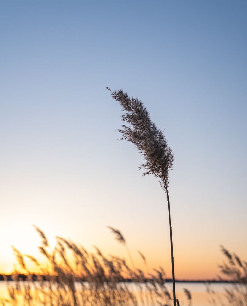 Photograph by Olga Zdančuka