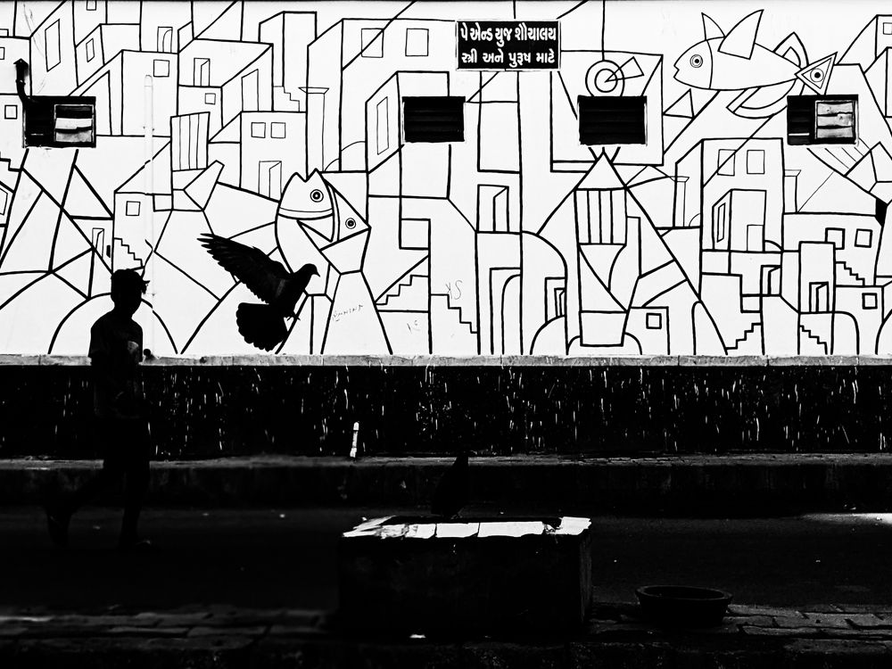 Photograph by Darshan Shah