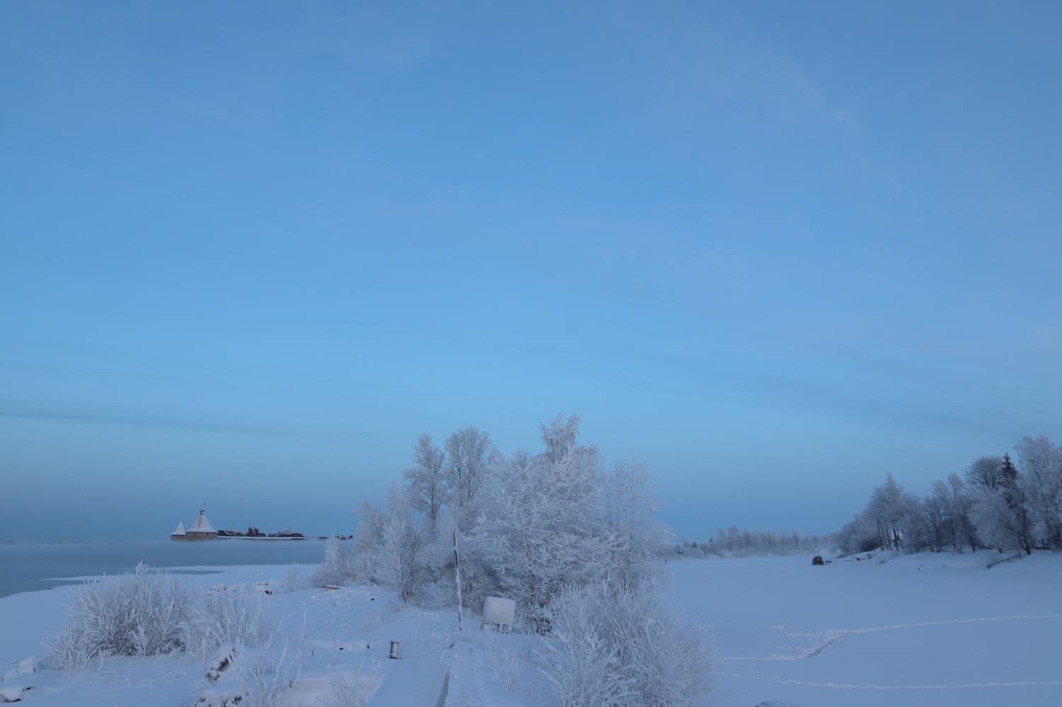 Photo #7185215