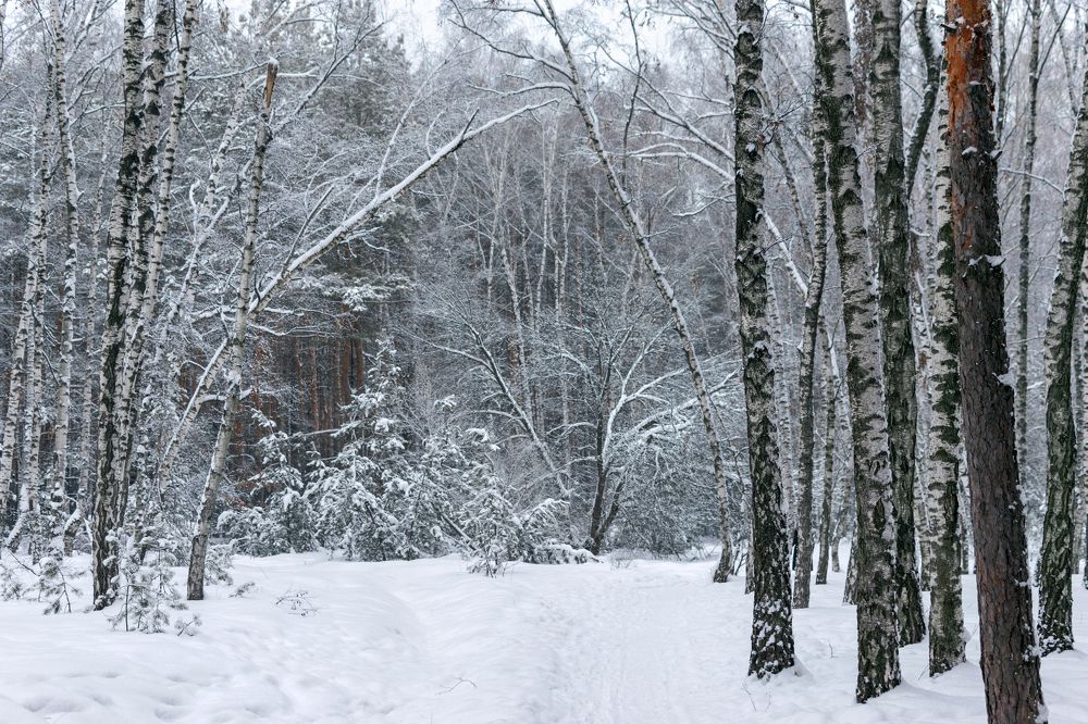 Photograph by Ирина Лапина