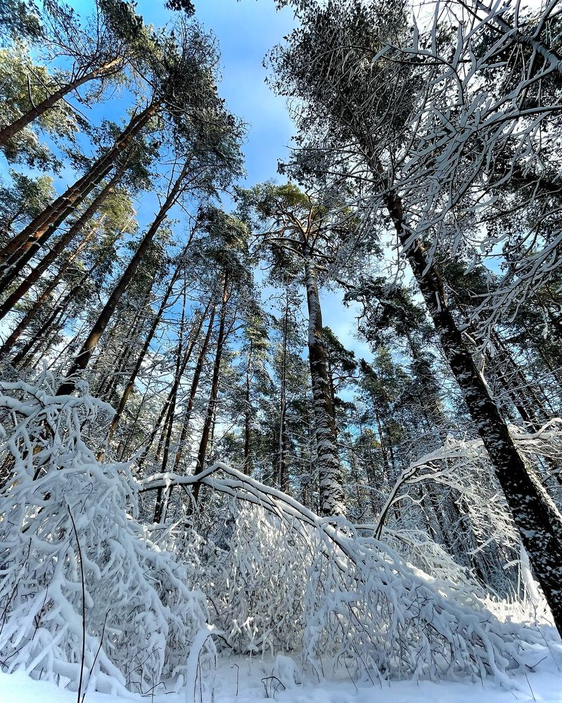 Photograph by Olga Zdančuka