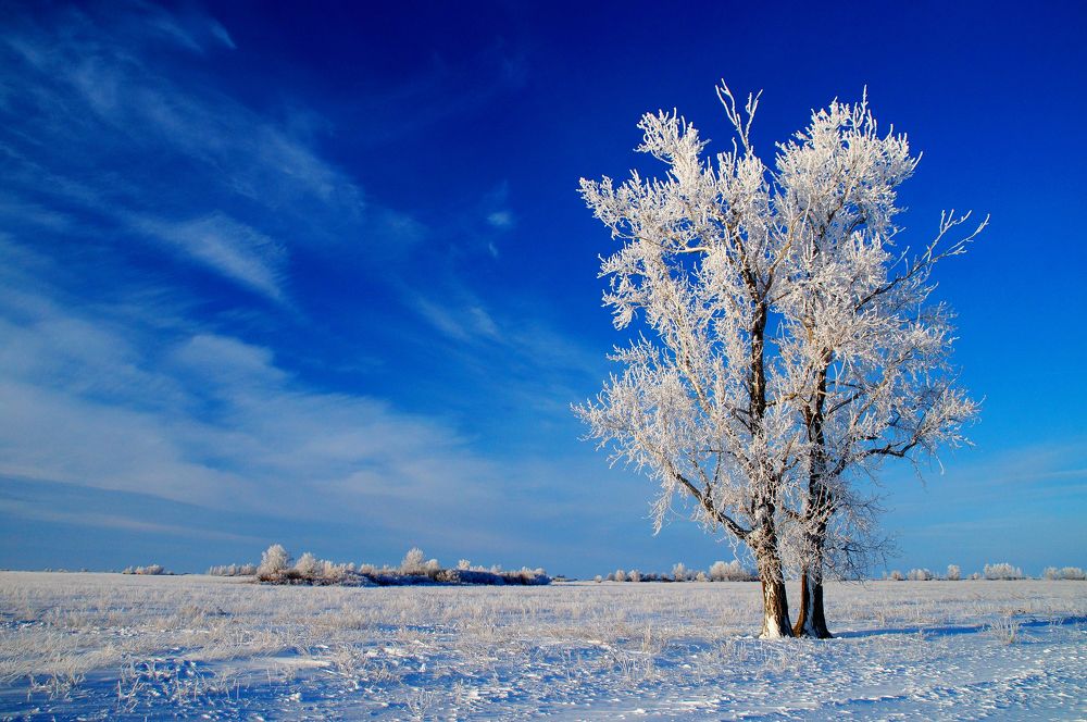 Photograph by Павел Колеснев