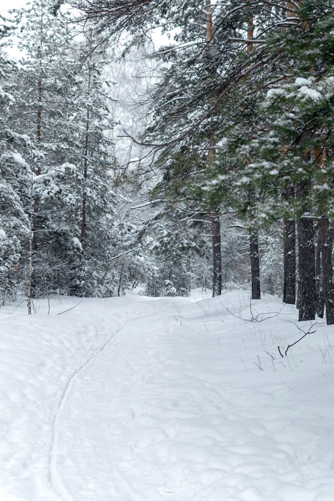 Photograph by Ирина Лапина