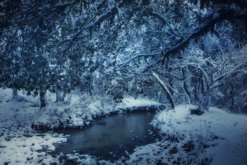 Everything is forzen