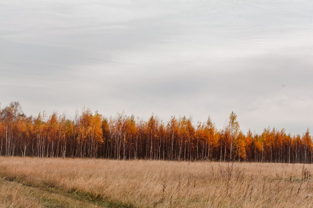 Photograph by Olivka Ulyanova