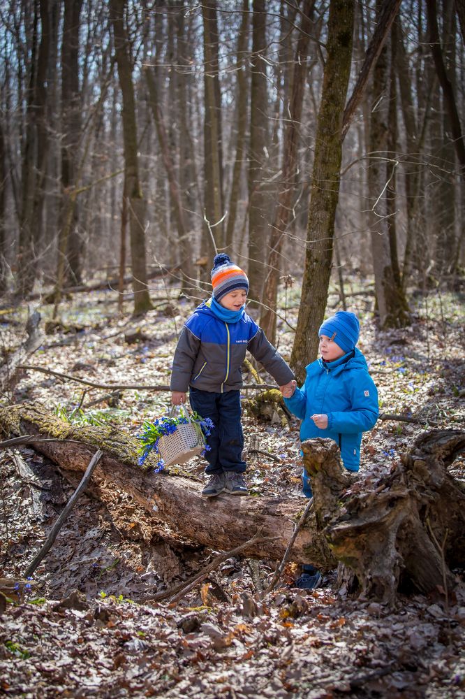 Photograph by Евгения Бочарова
