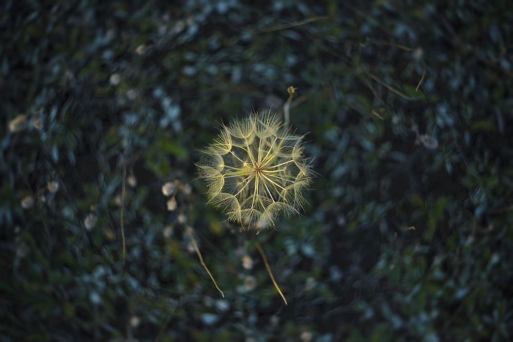 В круговороте