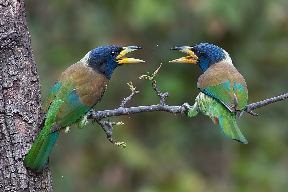 Photograph by Роман Тетерук