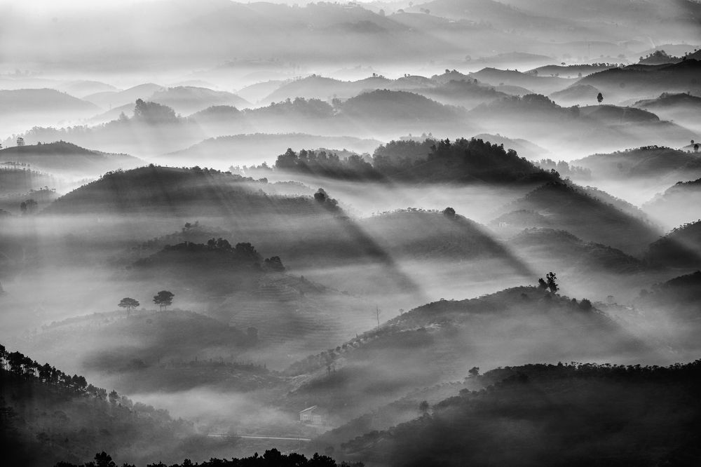 Photograph by Dung Pham