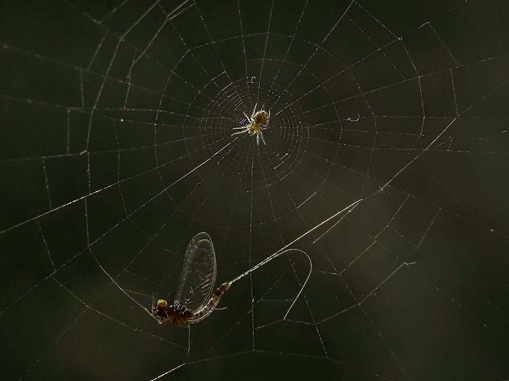 Photograph by Shubhra Das