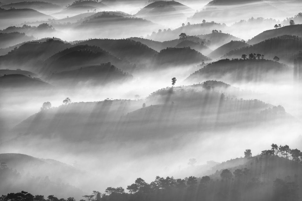 Photograph by Dung Pham