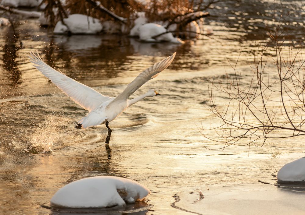 Photograph by Сергей Степанов
