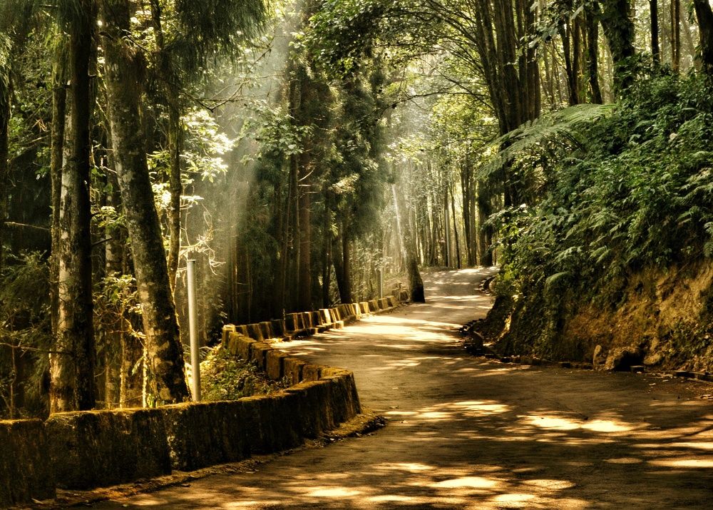 Photograph by Suhadri Shekar Paul