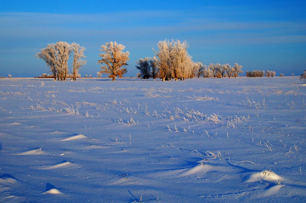 Photograph by Павел Колеснев