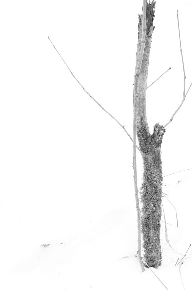 Photograph by Ксения Бочкова