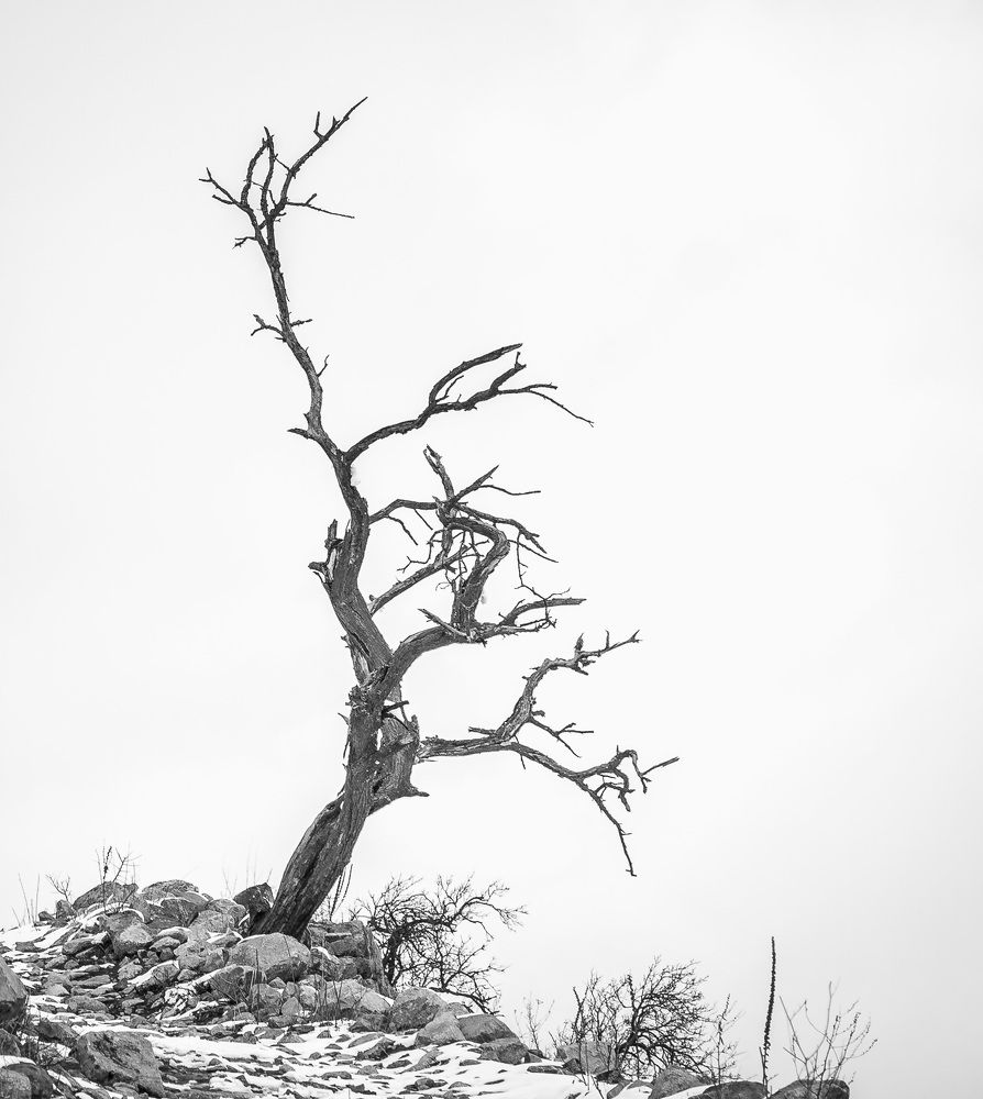 Photograph by Игорь Кара-Ушанов