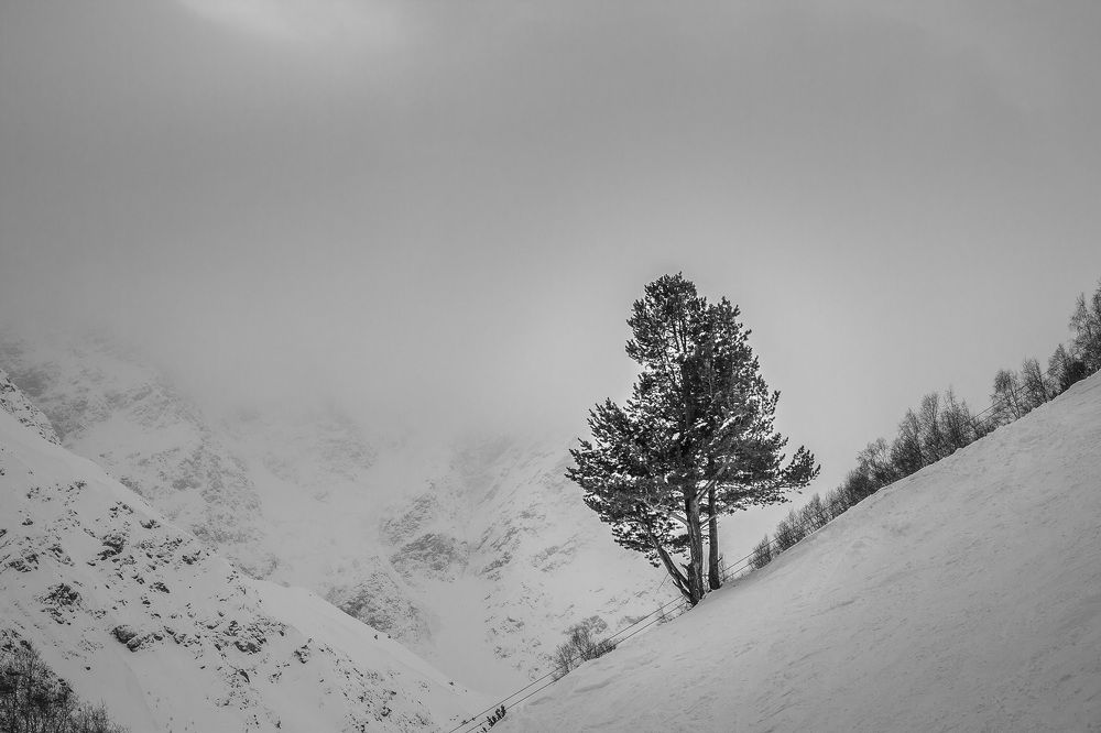 Photograph by Игорь Кара-Ушанов