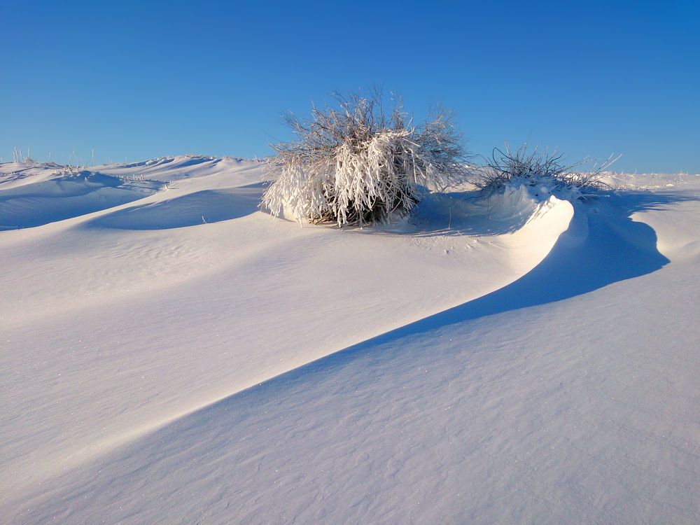 Photograph by Павел Колеснев