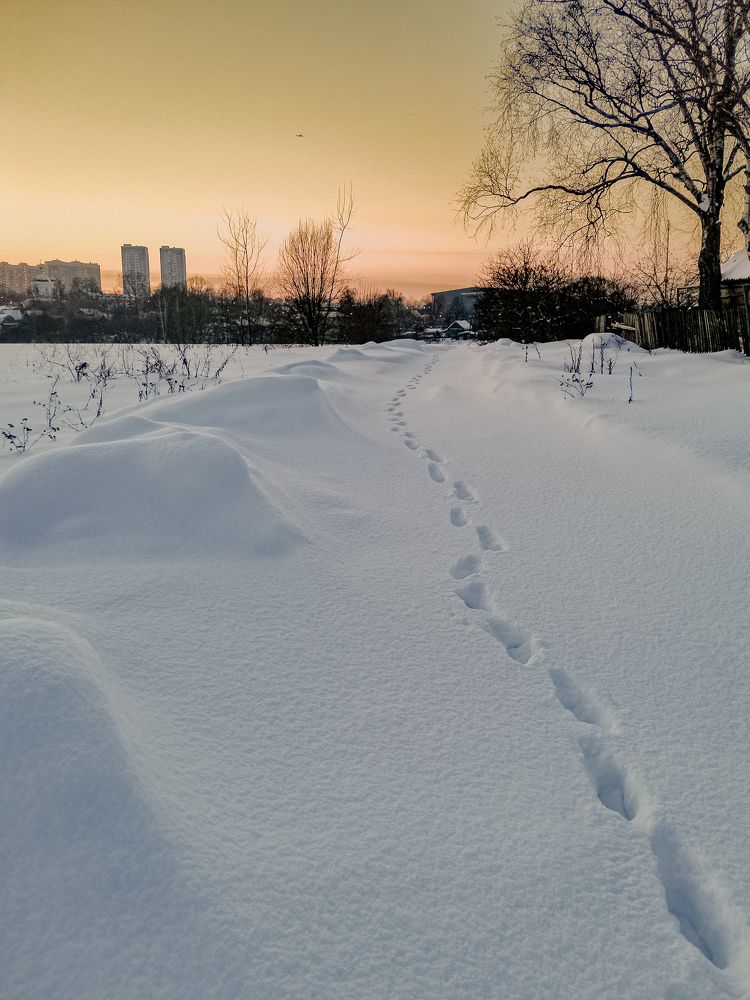 Photograph by Алексей Чеботарев