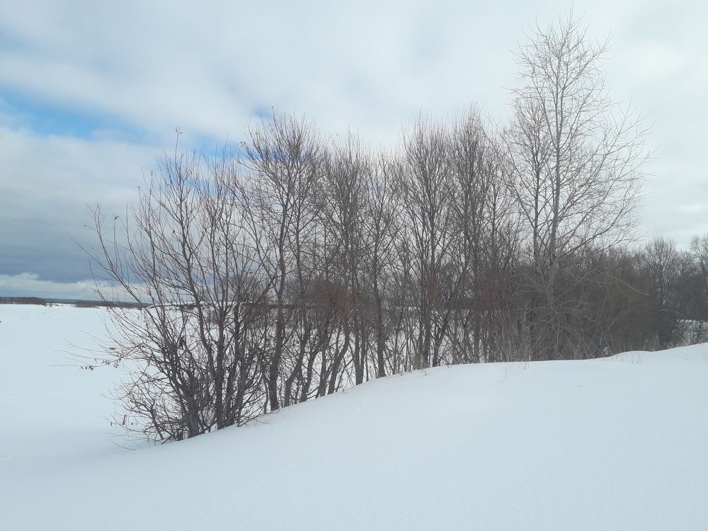 Photograph by Алёна Землянухина