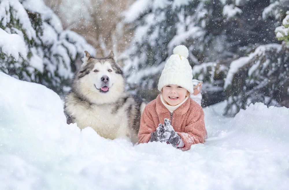 Photograph by Ирина Шафранская