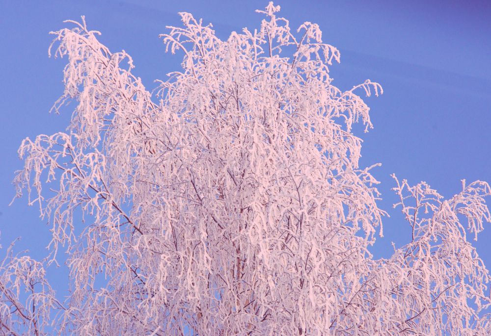 Photograph by Руслан Вялов