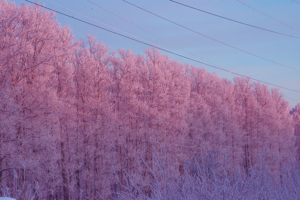 Photograph by Руслан Вялов