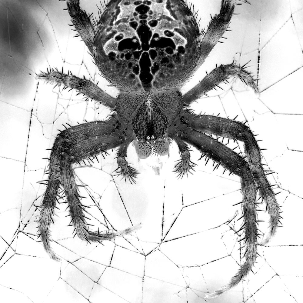 Photograph by Михаил