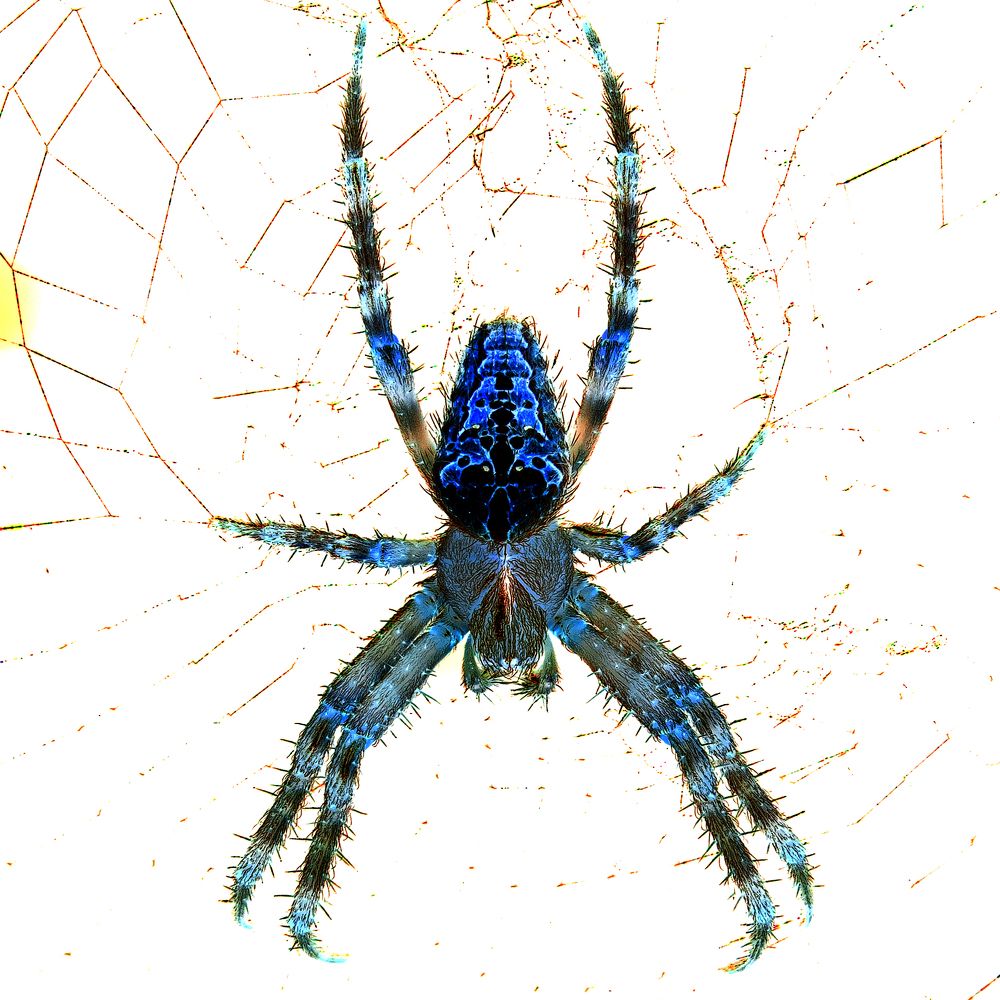 Photograph by Михаил