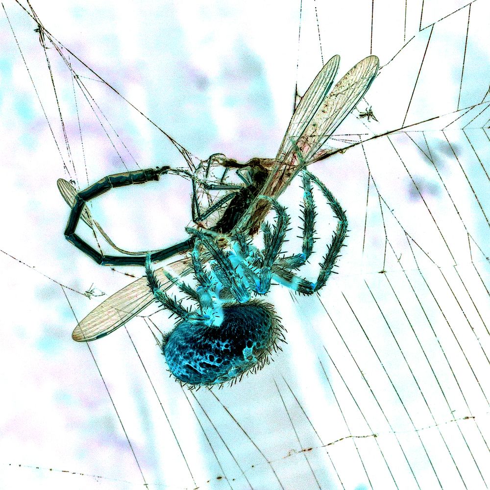 Photograph by Михаил