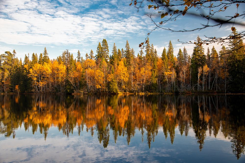 Photograph by Press Fond