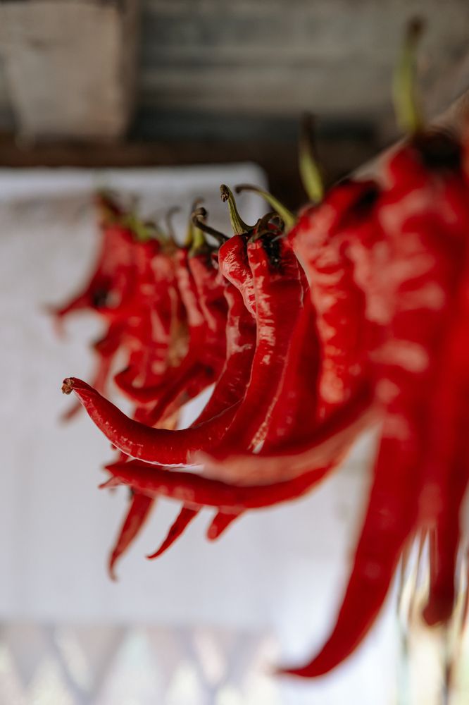 Фотография автора Лукашенко Ольга