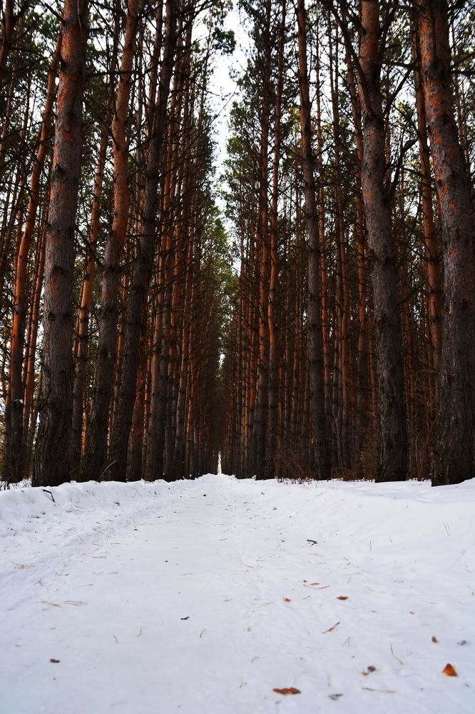 Photograph by Andrey