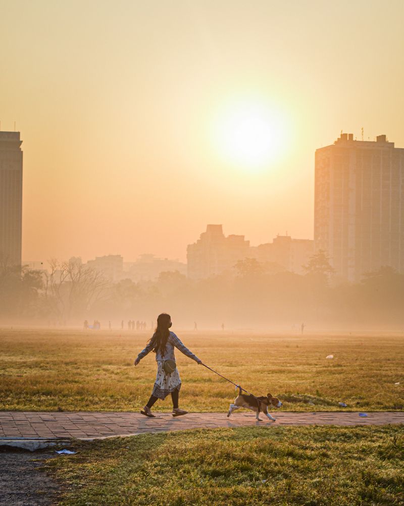 Photograph by Soham Bhattacharya