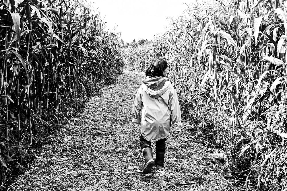 Photograph by Natalia Everatt