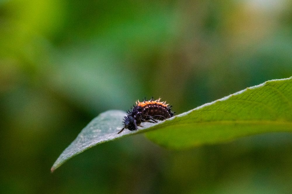 Photograph by Алина Едрянкина