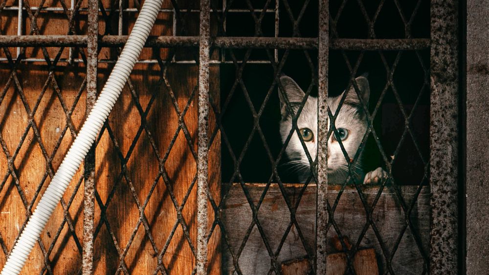 Photograph by Aun Pein Cheah