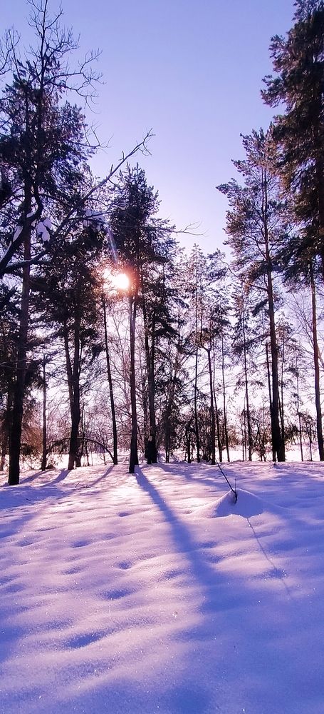Photograph by Виталий Асташов