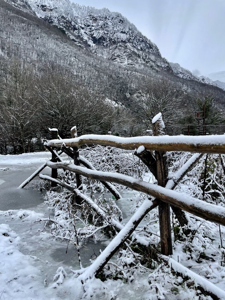 Photograph by Елена Горбунова