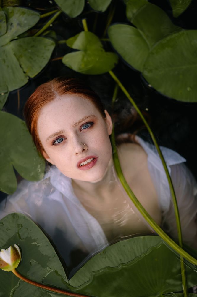 Фотография автора Рената Шарипова