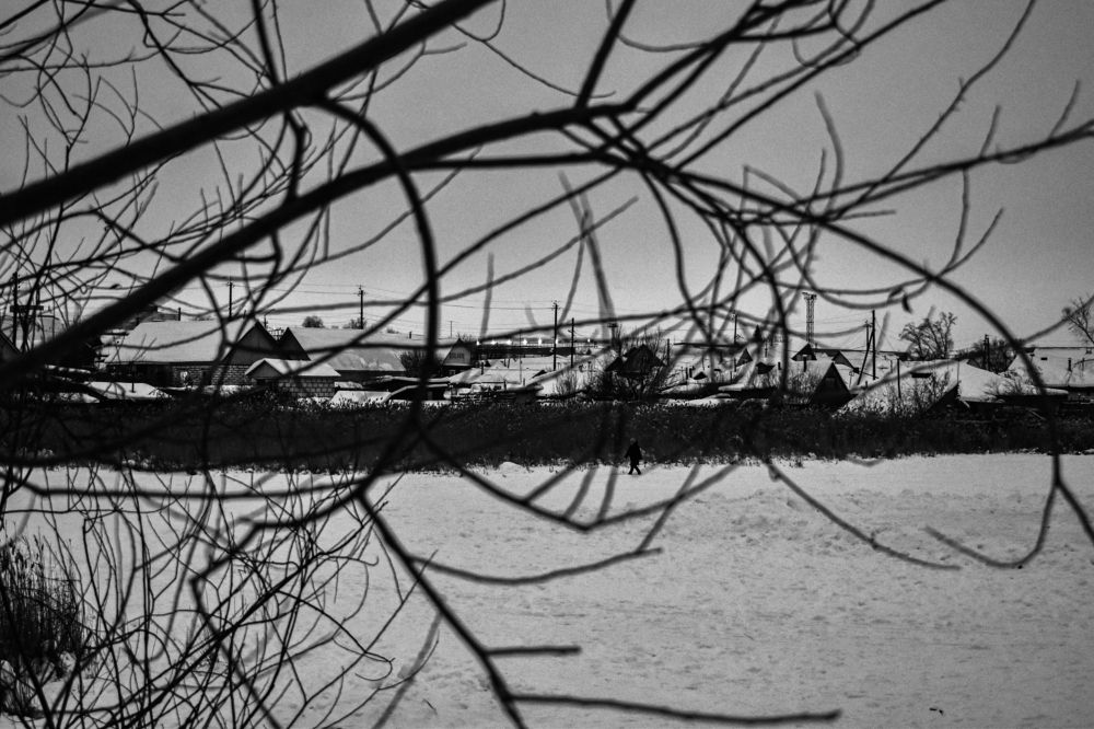 Photograph by Бородина Анна