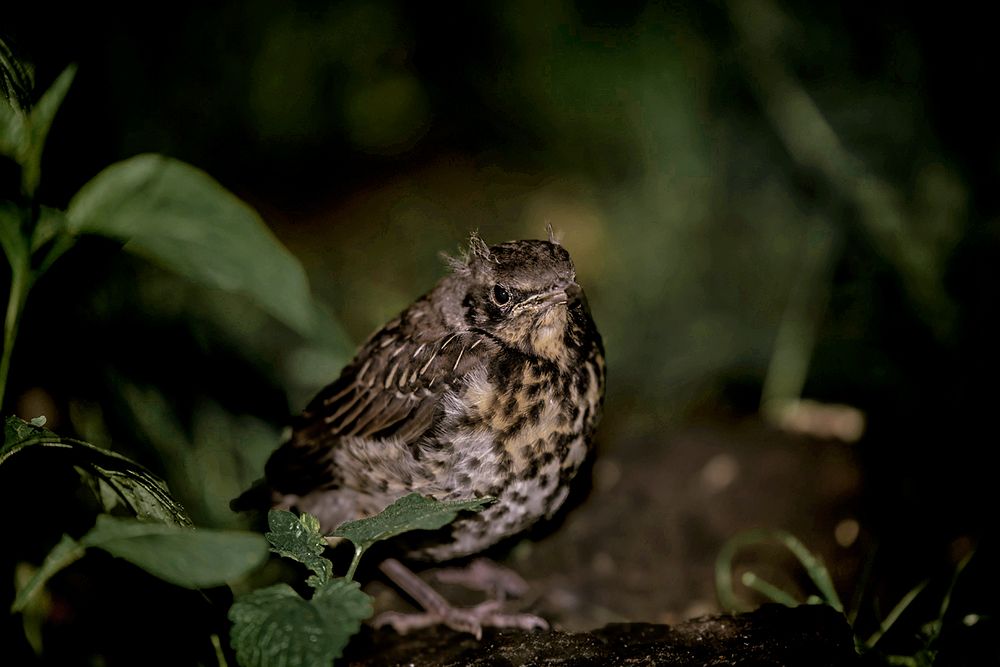 Photograph by Ольга Сербина