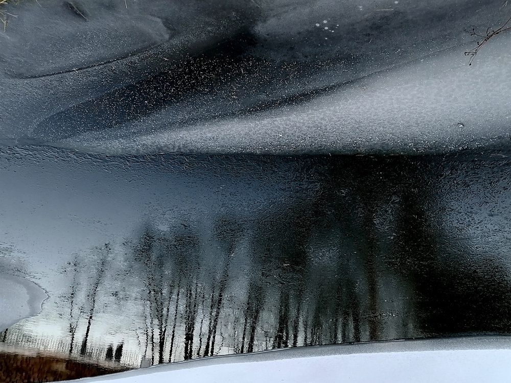 Photograph by Krystyna