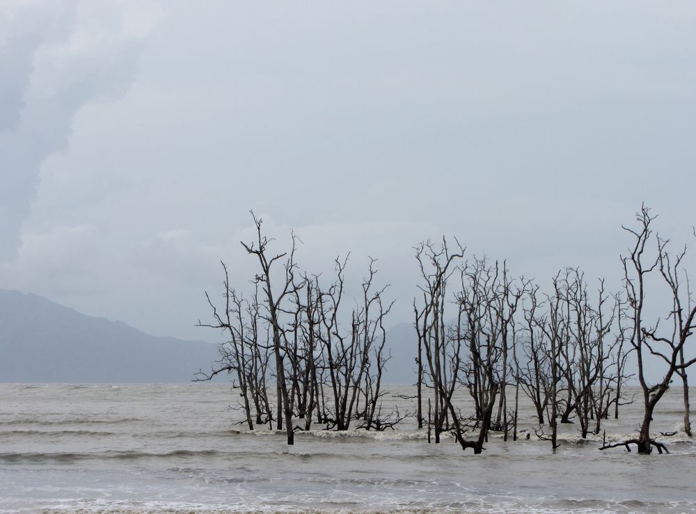 Photograph by Марина Пчелинцева