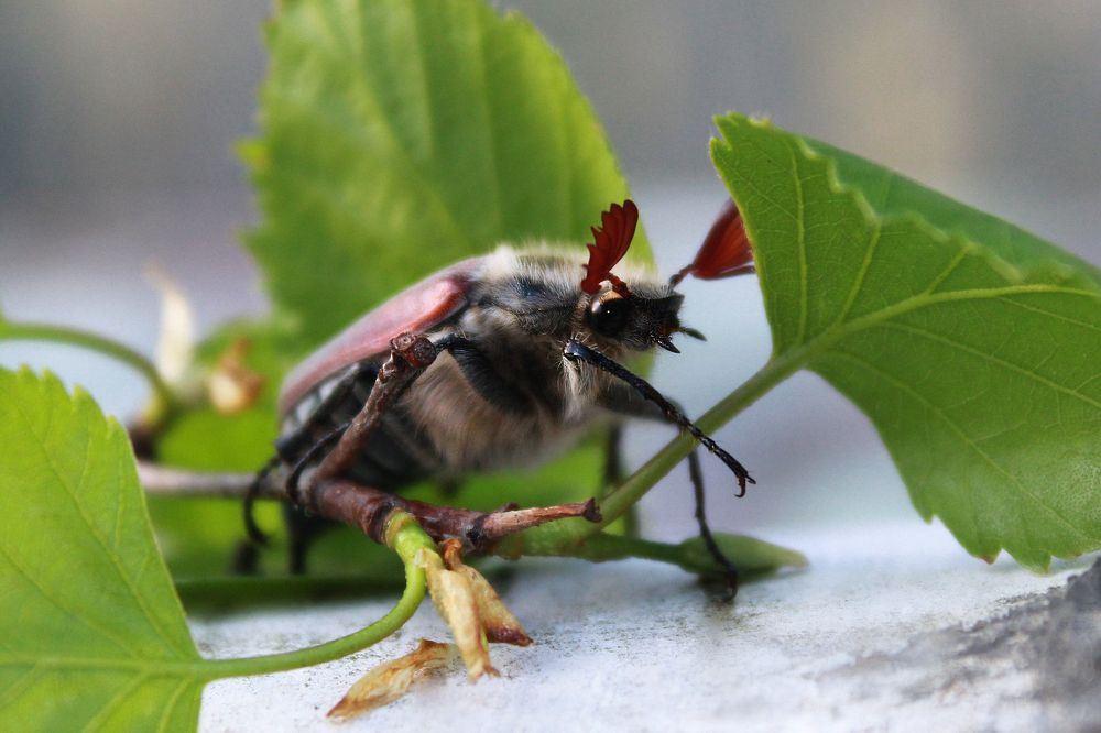 Photograph by Алина Едрянкина