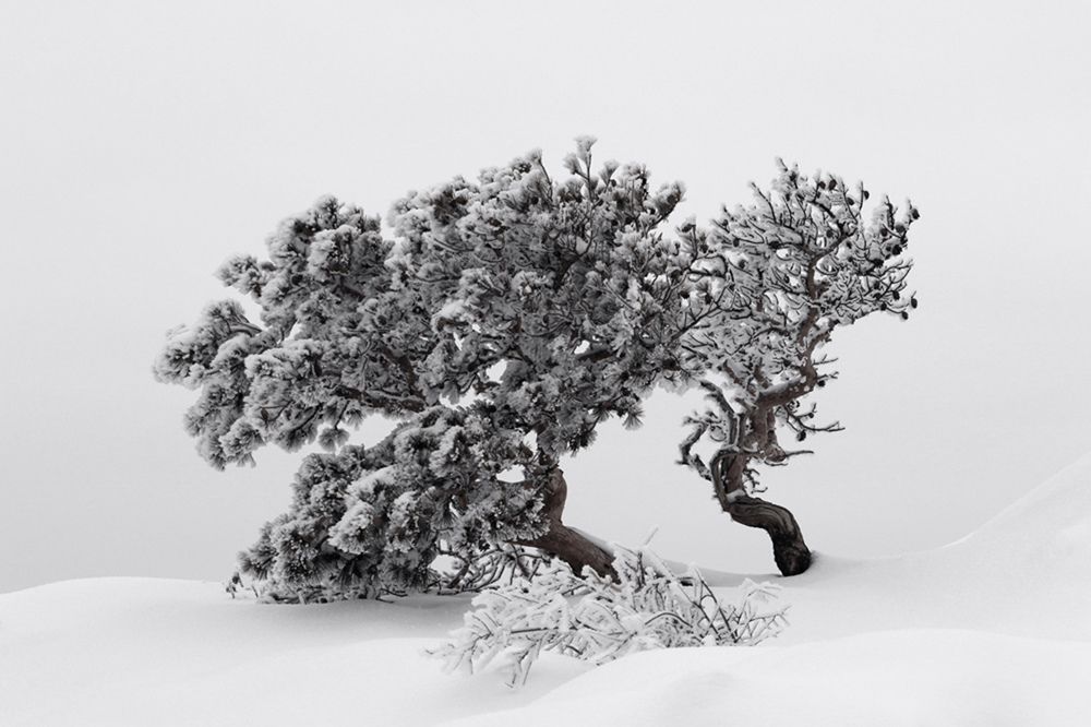 Зимние зарисовки..